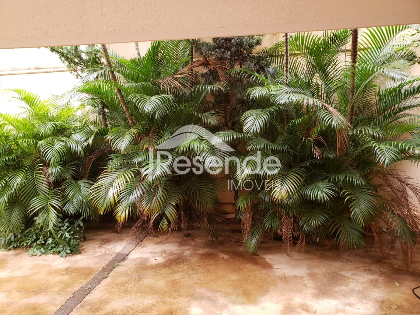 Alugar Apartamento / Padrão em Ribeirão Preto R$ 1.200,00 - Foto 25