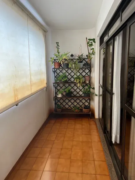 imagem 4 - VENDA apto amplo, bem localizado, Rua São José a duas quadras do Shopping Santa Úrsula imagem 4 - VENDA apto amplo, bem localizado, Rua São José a duas quadras do Shopping Santa Úrsula