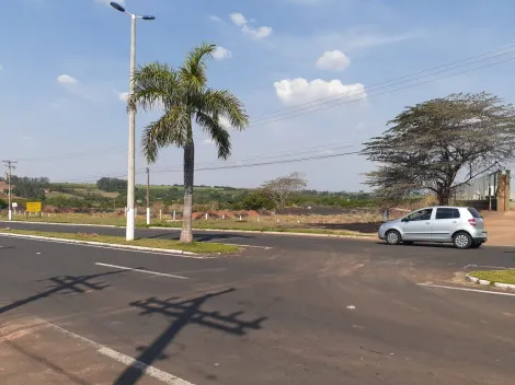 imagem 4 - VENDA área comercial/industrial em localização privilegiada- Monte Azul Pauista imagem 4 - VENDA área comercial/industrial em localização privilegiada- Monte Azul Pauista