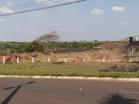 imagem 2 - VENDA área comercial/industrial em localização privilegiada- Monte Azul Pauista imagem 2 - VENDA área comercial/industrial em localização privilegiada- Monte Azul Pauista