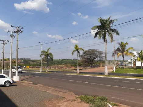 imagem 1 - VENDA área comercial/industrial em localização privilegiada- Monte Azul Pauista imagem 1 - VENDA área comercial/industrial em localização privilegiada- Monte Azul Pauista