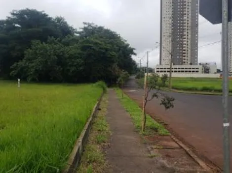 imagem 2 - Terreno - Padrão imagem 2 - Terreno - Padrão