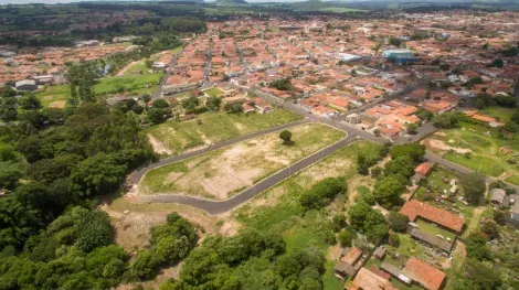 imagem 3 - Jardim Palmeira Real imagem 3 - Jardim Palmeira Real
