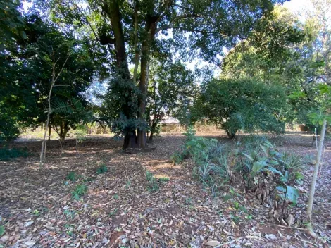 imagem 1 - Terreno - Padrão imagem 1 - Terreno - Padrão