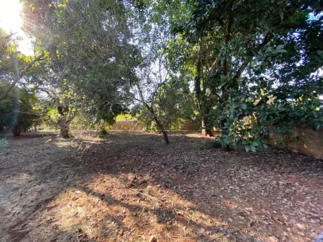 imagem 3 - Terreno - Padrão imagem 3 - Terreno - Padrão