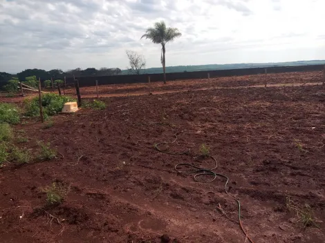 imagem 1 - Terreno Condomínio Recreio Humaitá com 5.610 metros - Bonfim Paulista imagem 1 - Terreno Condomínio Recreio Humaitá com 5.610 metros - Bonfim Paulista