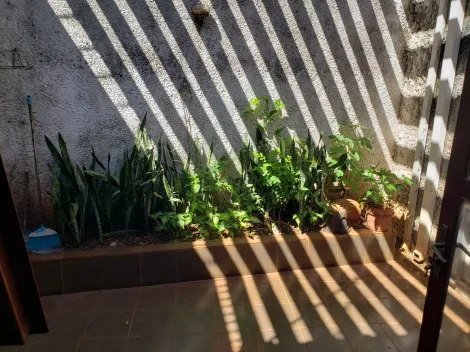 imagem 5 - Ponto Comercial - Coração do Irajá imagem 5 - Ponto Comercial - Coração do Irajá