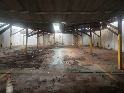 imagem 2 - VENDO terreno para ponto comercial no Centro de Ribeirão Preto imagem 2 - VENDO terreno para ponto comercial no Centro de Ribeirão Preto