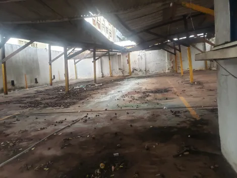 imagem 4 - VENDO terreno para ponto comercial no Centro de Ribeirão Preto imagem 4 - VENDO terreno para ponto comercial no Centro de Ribeirão Preto