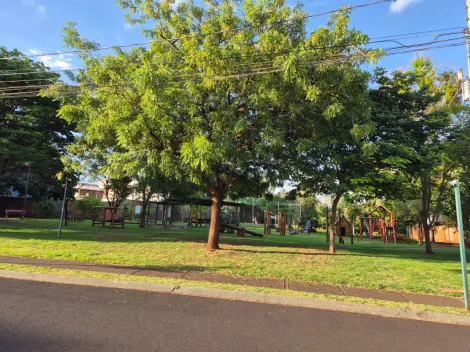 imagem 2 - VENDA terreno parte alta da ilha, plano, 420 m2, frente à praça. imagem 2 - VENDA terreno parte alta da ilha, plano, 420 m2, frente à praça.