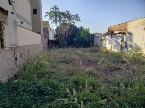 imagem 3 - Terreno Jd. Irajá imagem 3 - Terreno Jd. Irajá
