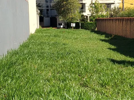imagem 5 - VENDA terreno plano, localização privilegiada, 300 m2 Jardim Califórnia imagem 5 - VENDA terreno plano, localização privilegiada, 300 m2 Jardim Califórnia