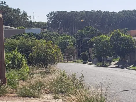 imagem 4 - VENDA terreno plano, localização privilegiada, 300 m2 Jardim Califórnia imagem 4 - VENDA terreno plano, localização privilegiada, 300 m2 Jardim Califórnia