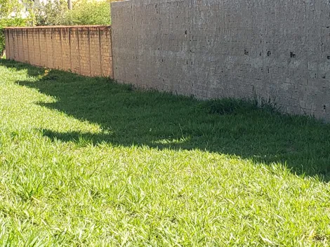imagem 3 - VENDA terreno plano, localização privilegiada, 300 m2 Jardim Califórnia imagem 3 - VENDA terreno plano, localização privilegiada, 300 m2 Jardim Califórnia