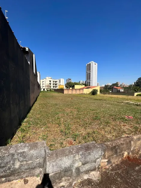 imagem 1 - VENDA terreno plano, localização privilegiada, 300 m2 Jardim Califórnia imagem 1 - VENDA terreno plano, localização privilegiada, 300 m2 Jardim Califórnia